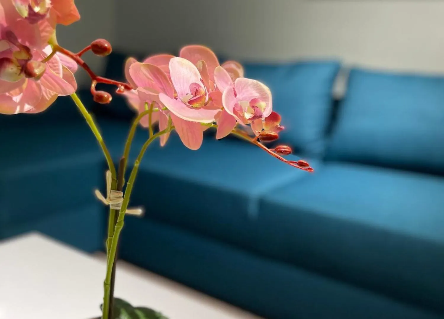 Aparthotel Fantasia Apart Hotel Bucharest